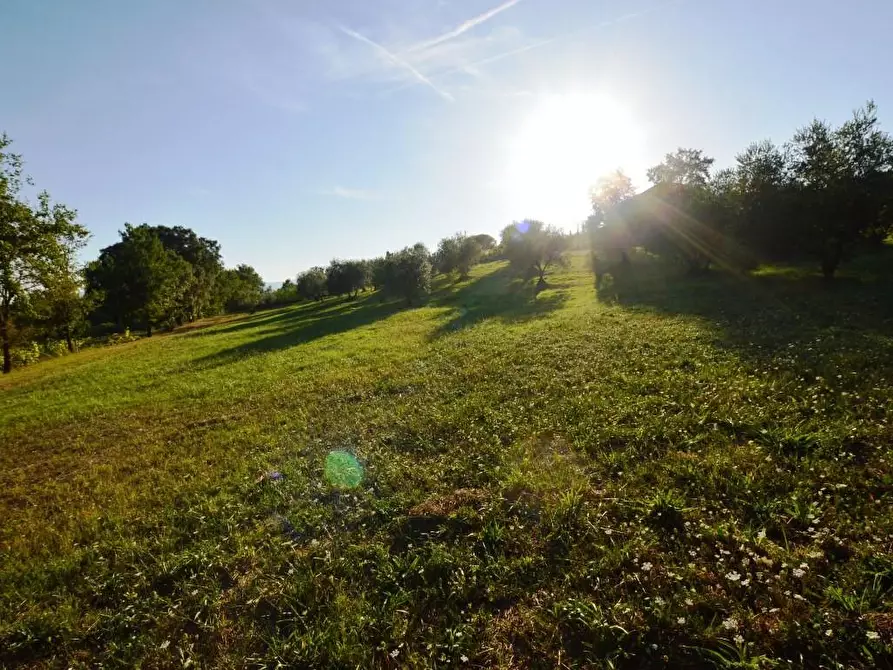 Immagine 13 di Rustico / casale in vendita  a Montecarlo