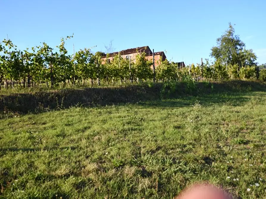 Immagine 25 di Rustico / casale in vendita  a Montecarlo