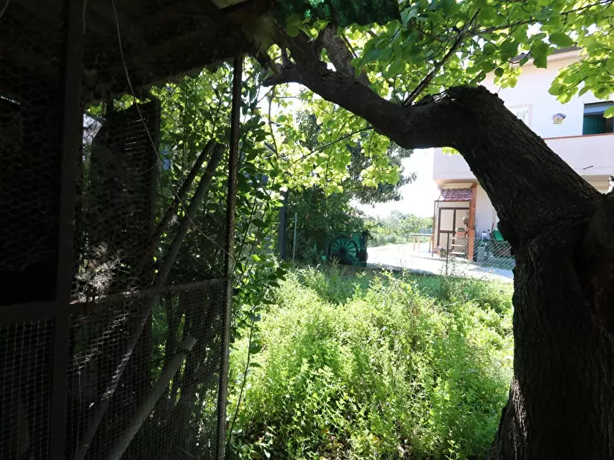 Immagine 14 di Terratetto in vendita  a Cascina