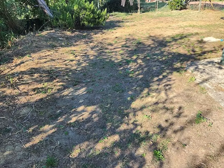 Immagine 5 di Terratetto in vendita  a San Miniato