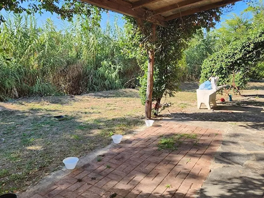 Immagine 4 di Terratetto in vendita  a San Miniato