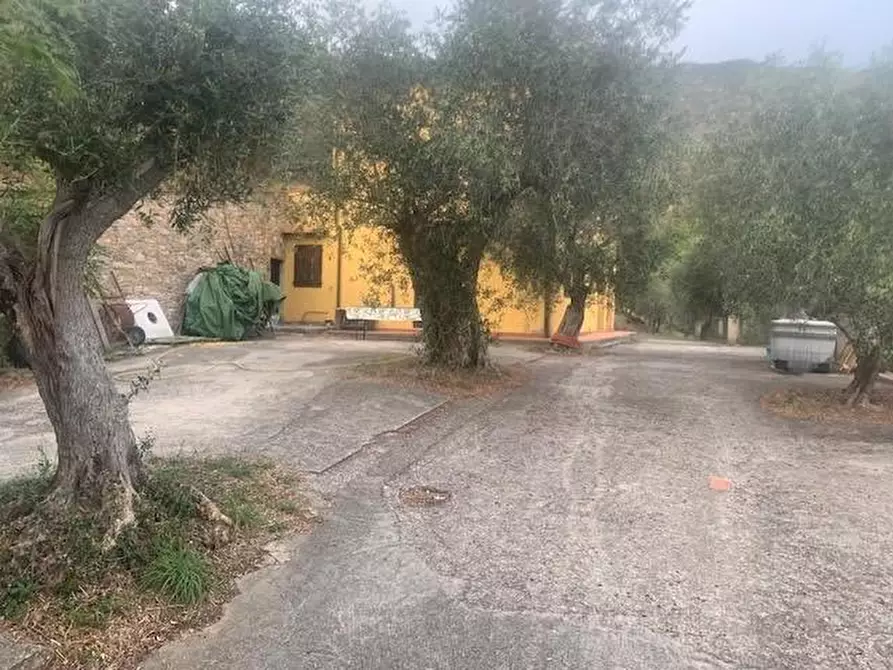 Immagine 3 di Casa indipendente in vendita  a Calci