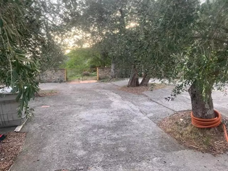 Immagine 14 di Casa indipendente in vendita  a Calci