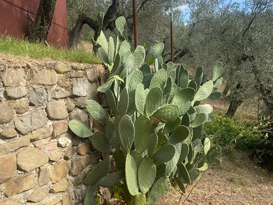Immagine 41 di Casa indipendente in vendita  a Lamporecchio