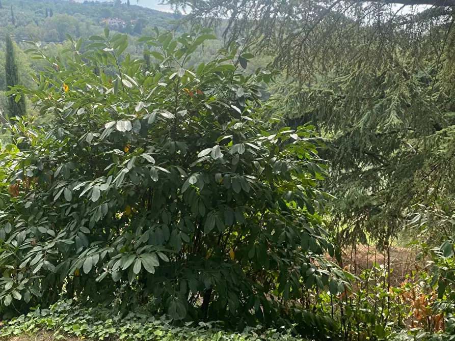 Immagine 37 di Casa indipendente in vendita  a Lamporecchio