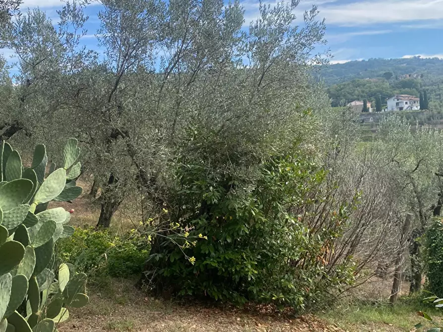 Immagine 42 di Casa indipendente in vendita  a Lamporecchio