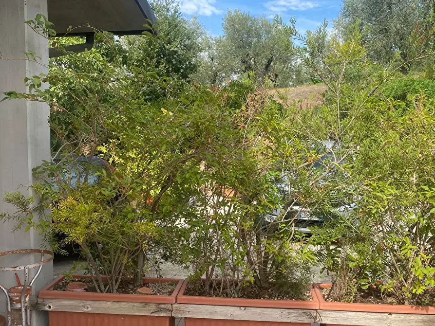 Immagine 22 di Casa indipendente in vendita  a Lamporecchio