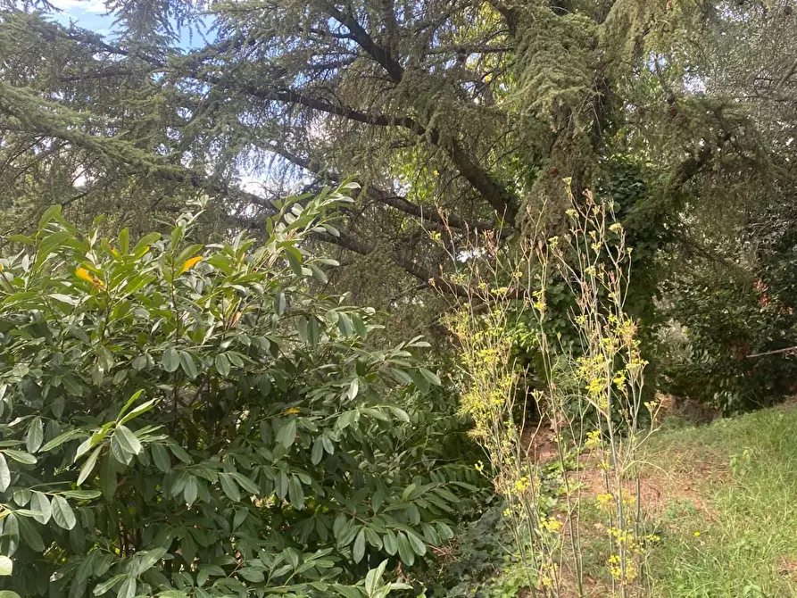 Immagine 39 di Casa indipendente in vendita  a Lamporecchio