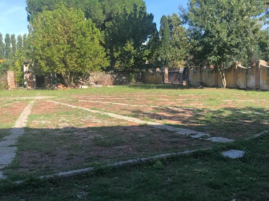 Immagine 19 di Terratetto in affitto  a Pisa