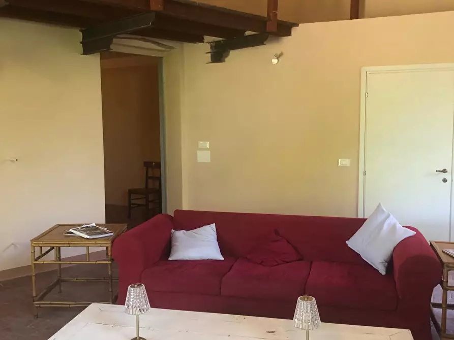 Immagine 16 di Terratetto in affitto  a Pisa