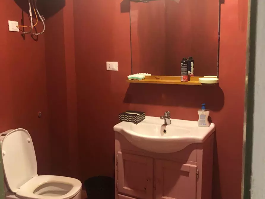 Immagine 11 di Terratetto in affitto  a Pisa