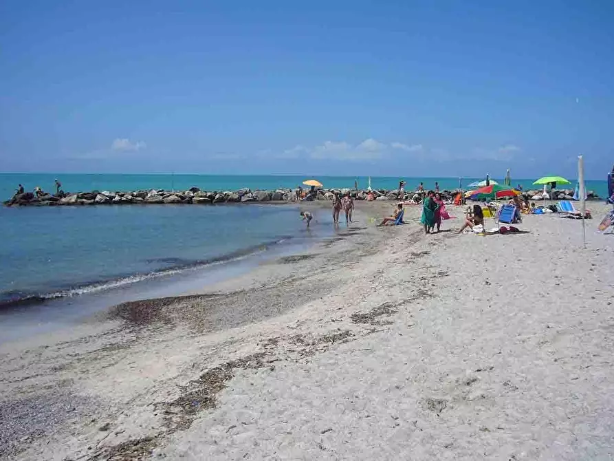 Immagine 13 di Appartamento in vendita  a Rosignano Marittimo