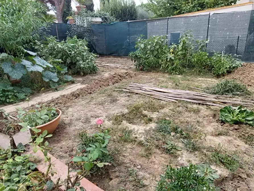 Immagine 20 di Terratetto in vendita  a Empoli