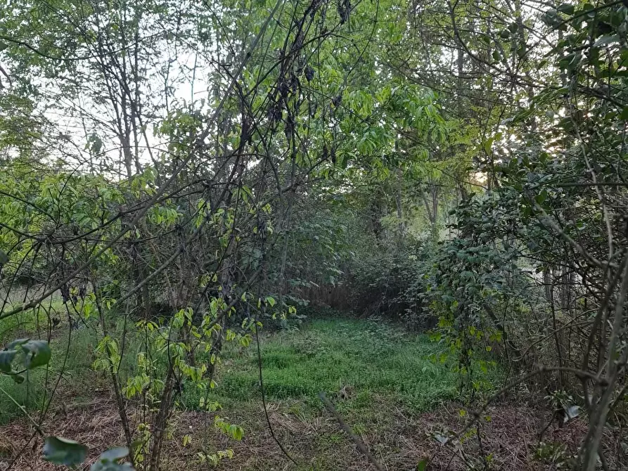 Immagine 2 di Terreno agricolo in vendita  a Colle Di Val D'elsa