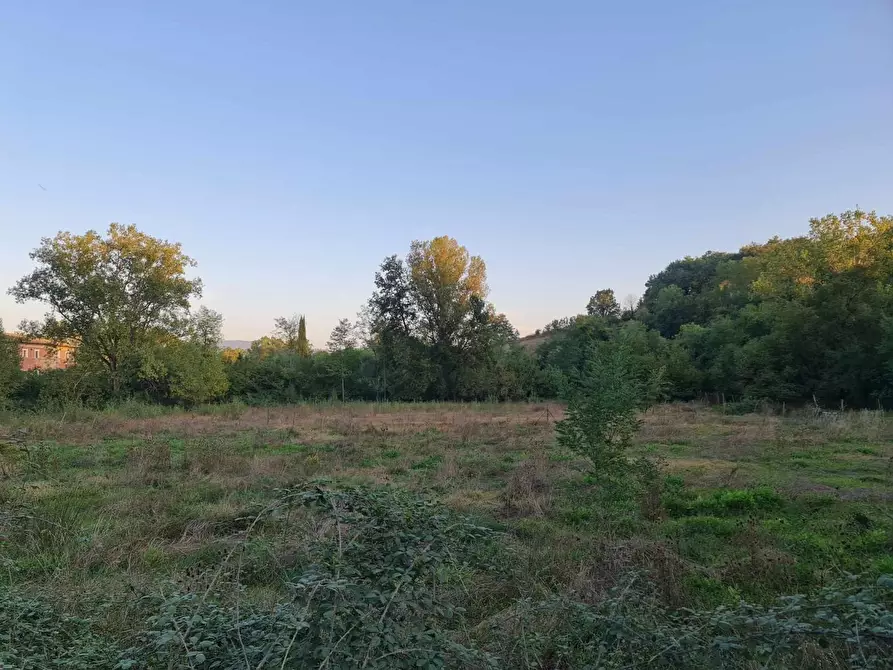 Immagine 5 di Terreno agricolo in vendita  a Colle Di Val D'elsa