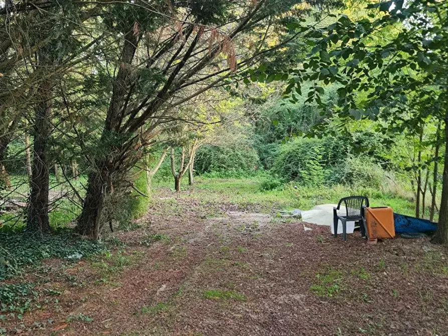 Immagine 6 di Terreno agricolo in vendita  a Colle Di Val D'elsa