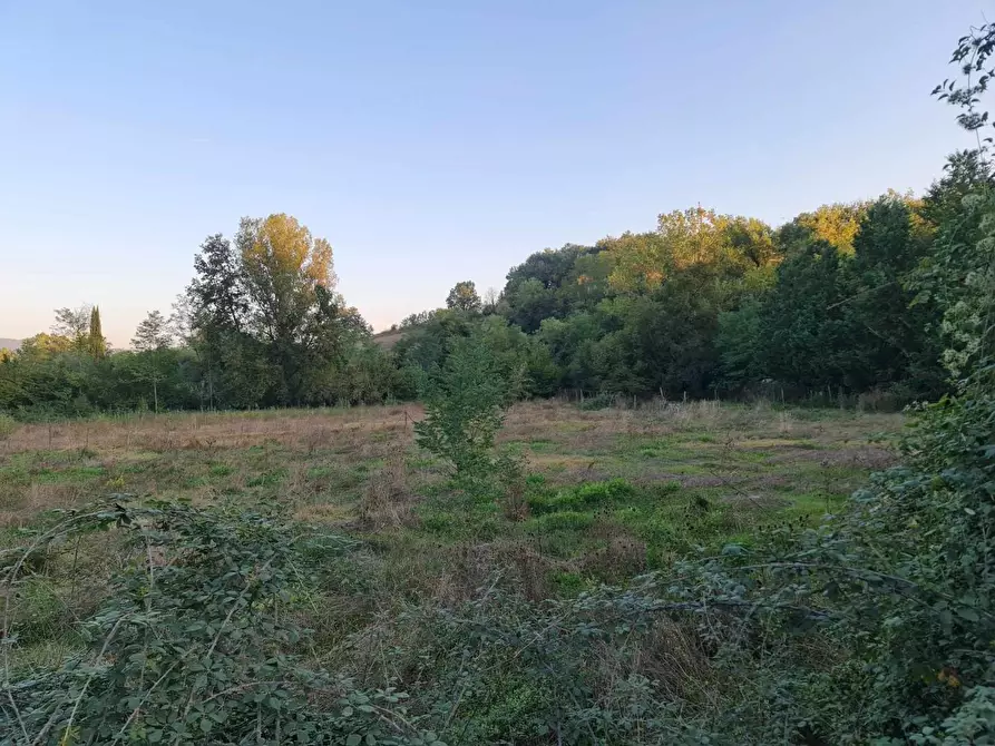 Immagine 7 di Terreno agricolo in vendita  a Colle Di Val D'elsa