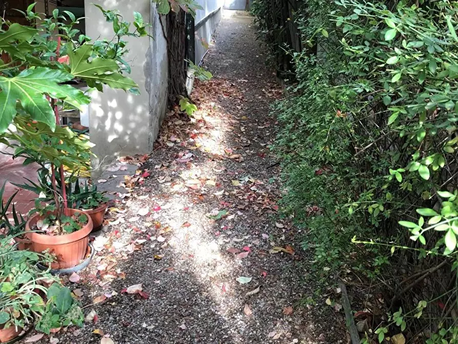 Immagine 25 di Casa indipendente in vendita  a Empoli