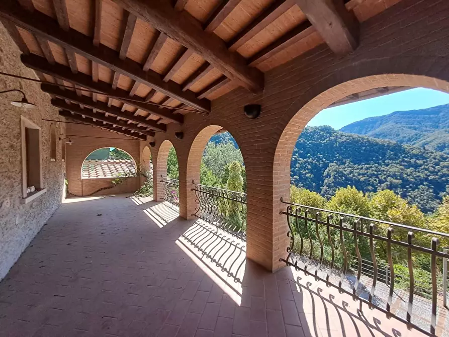 Immagine 15 di Bar / Ristorante in vendita  a Pietrasanta