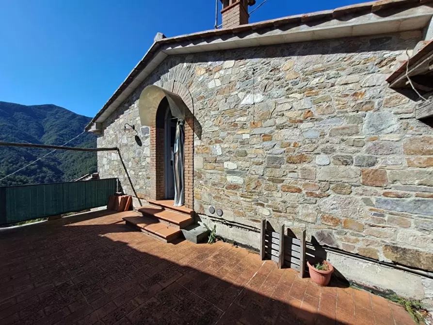 Immagine 20 di Bar / Ristorante in vendita  a Pietrasanta