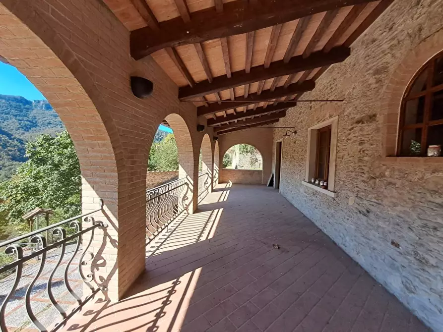 Immagine 16 di Bar / Ristorante in vendita  a Pietrasanta