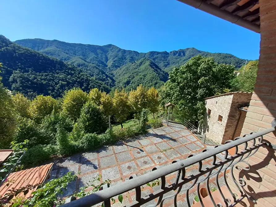 Immagine 18 di Bar / Ristorante in vendita  a Pietrasanta