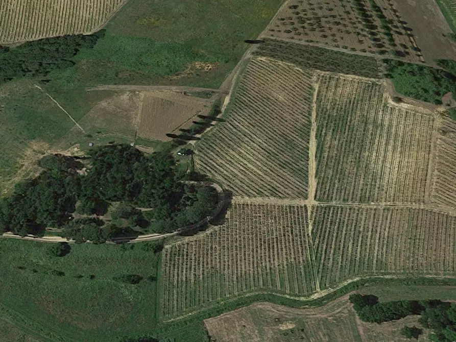 Immagine 1 di Terreno agricolo in vendita  a Cerreto Guidi