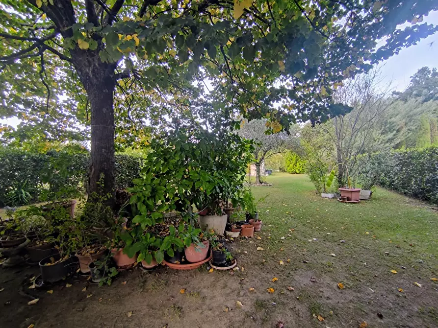 Immagine 34 di Casa semindipendente in vendita  a Fucecchio