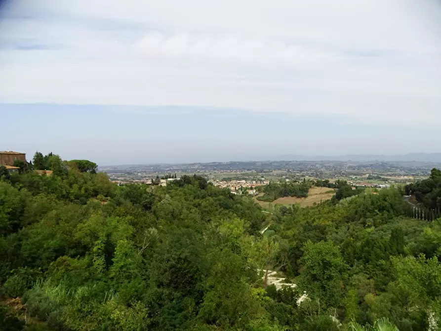 Immagine 2 di Appartamento in vendita  a San Miniato