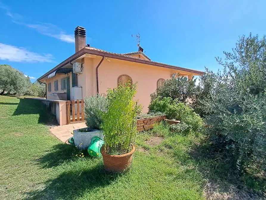 Immagine 1 di Villa in vendita  a Rosignano Marittimo