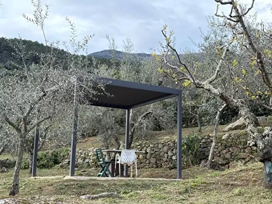 Immagine 14 di Terreno agricolo in vendita  a Calci