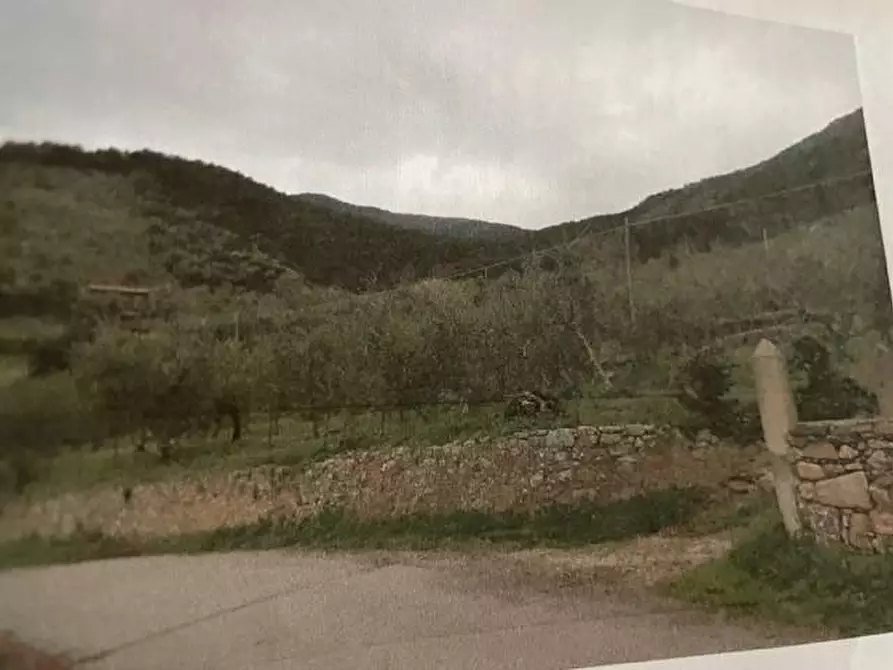 Immagine 2 di Terreno agricolo in vendita  a Calci