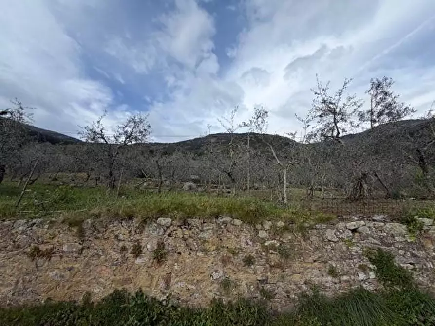 Immagine 9 di Terreno agricolo in vendita  a Calci