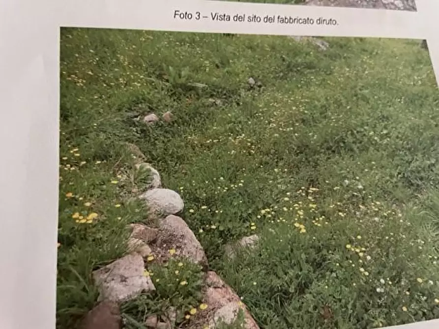 Immagine 5 di Terreno agricolo in vendita  a Calci