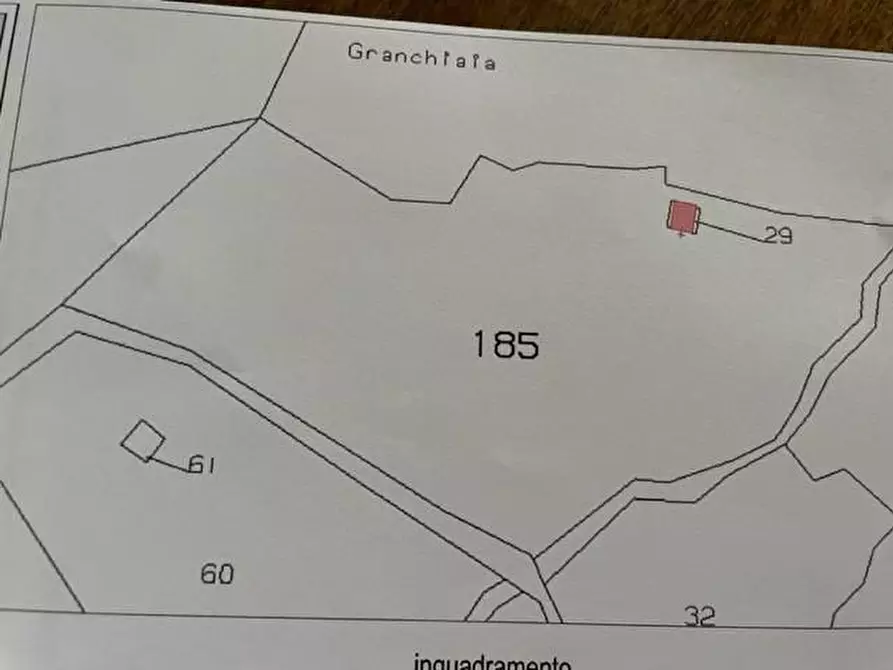 Immagine 6 di Terreno agricolo in vendita  a Calci