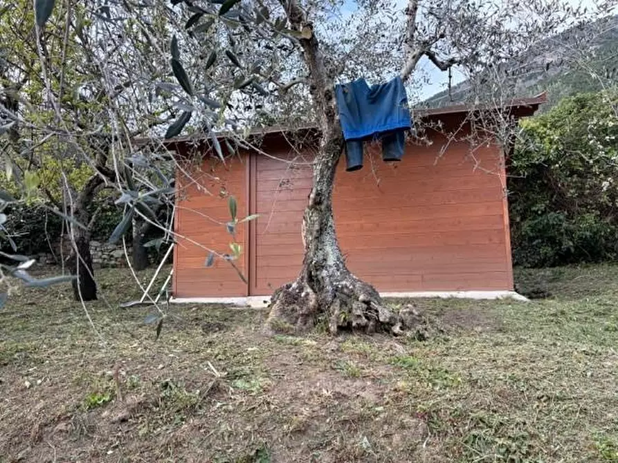 Immagine 22 di Terreno agricolo in vendita  a Calci