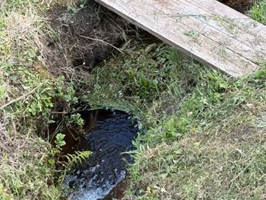 Immagine 26 di Terreno agricolo in vendita  a Calci