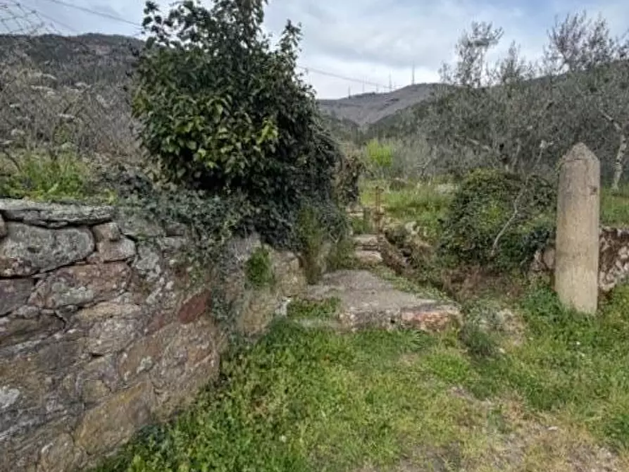 Immagine 10 di Terreno agricolo in vendita  a Calci