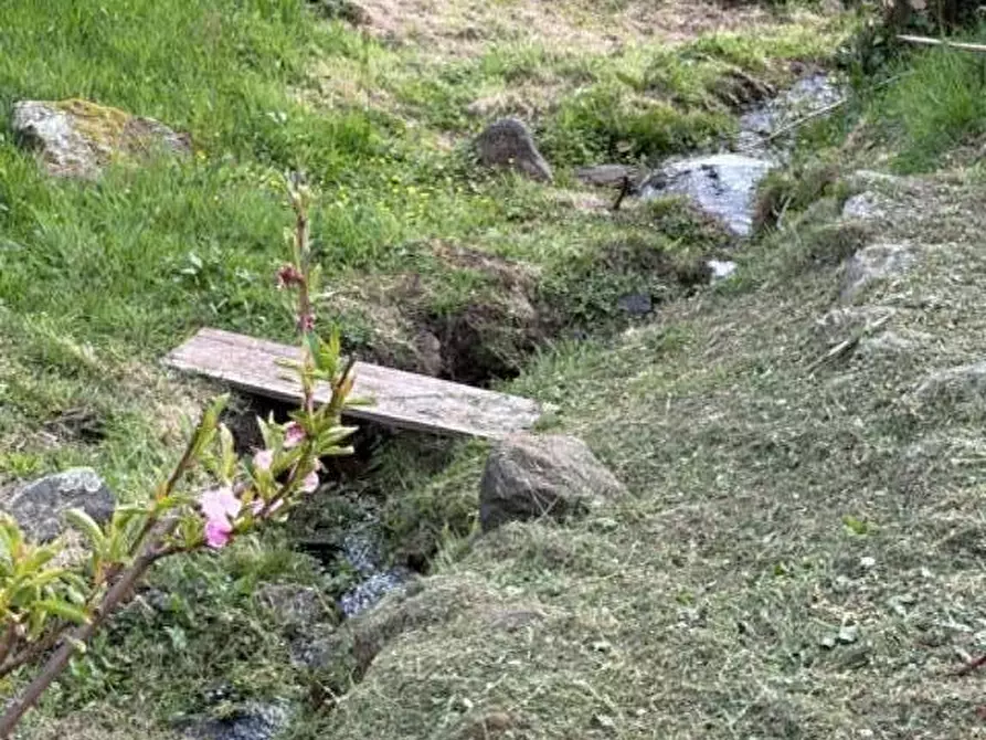 Immagine 25 di Terreno agricolo in vendita  a Calci