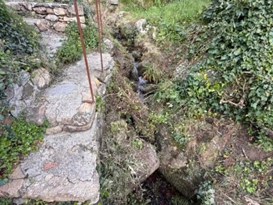 Immagine 11 di Terreno agricolo in vendita  a Calci