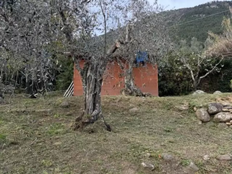 Immagine 20 di Terreno agricolo in vendita  a Calci