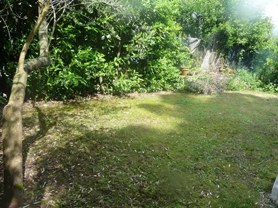 Immagine 3 di Appartamento in vendita  a Massa