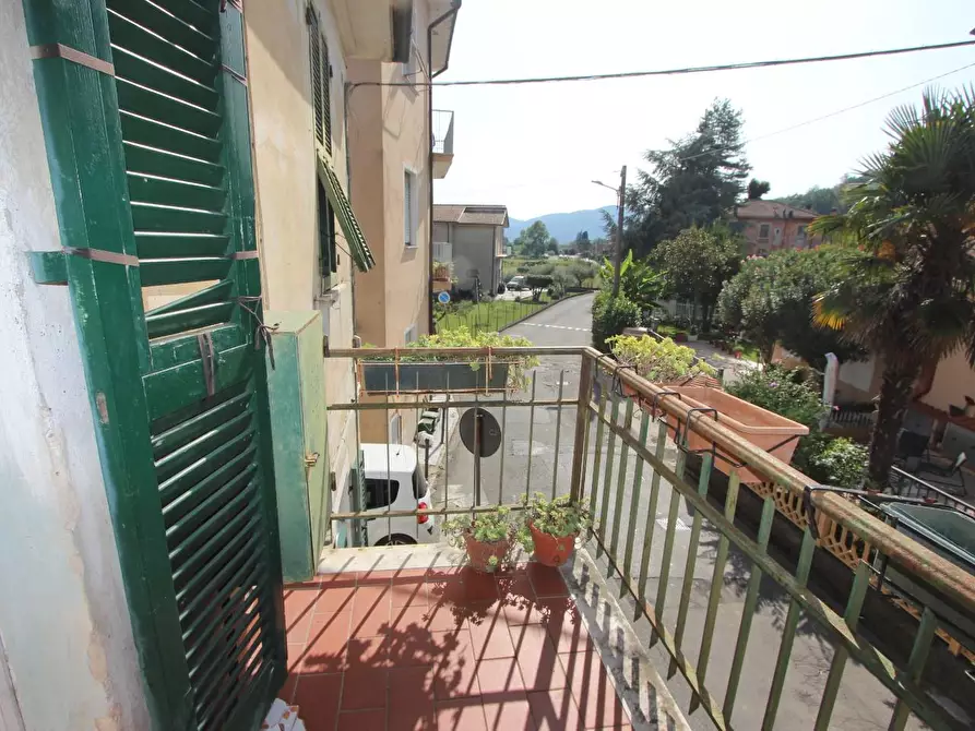 Immagine 6 di Appartamento in vendita  a Sarzana