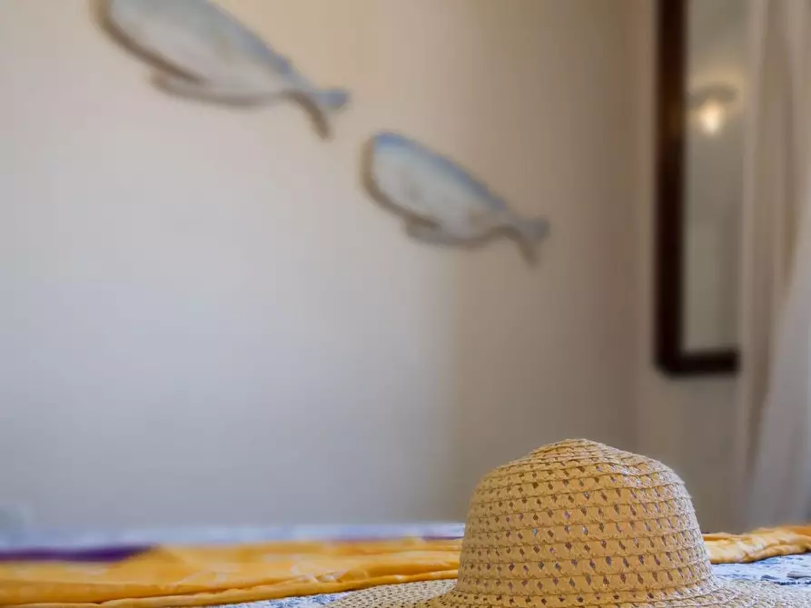 Immagine 8 di Appartamento in vendita  a Rosignano Marittimo