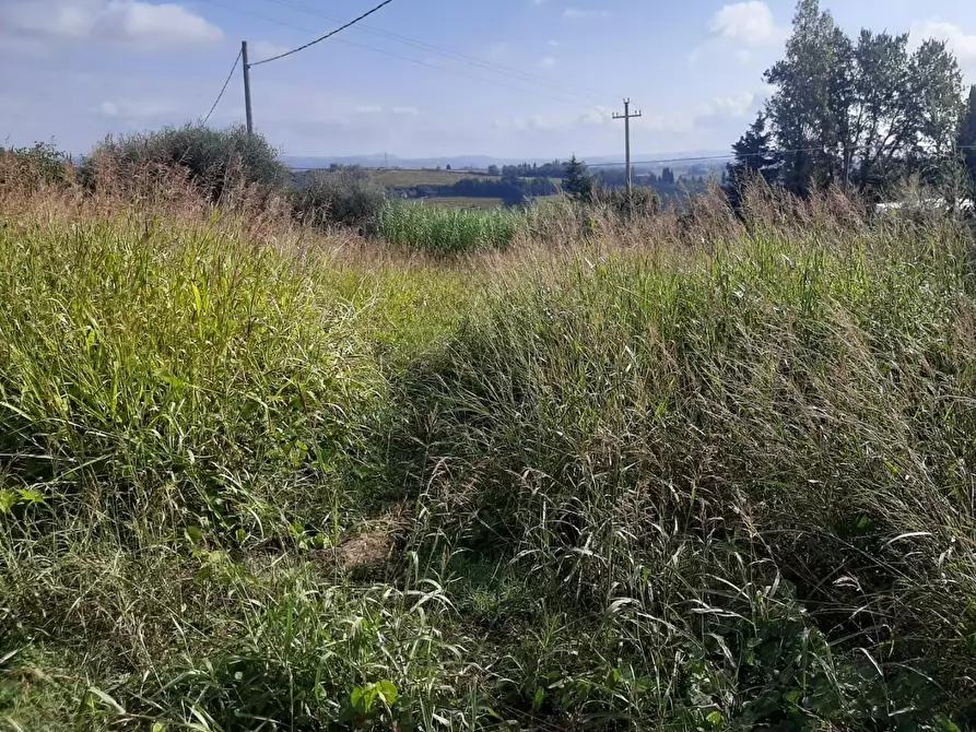 Immagine 2 di Terreno residenziale in vendita  a Terricciola