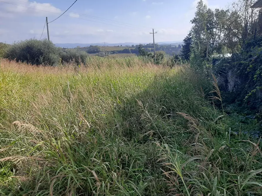 Immagine 3 di Terreno residenziale in vendita  a Terricciola