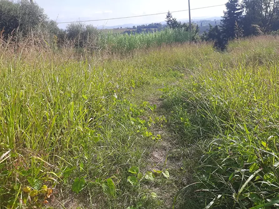 Immagine 4 di Terreno residenziale in vendita  a Terricciola