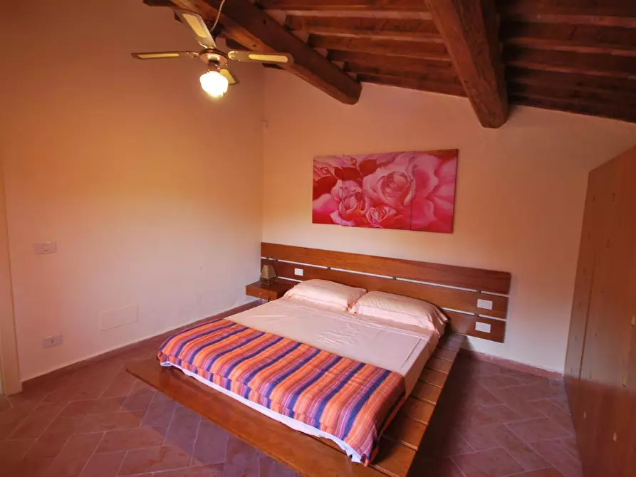 Immagine 30 di Villa in vendita  a Casciana Terme Lari