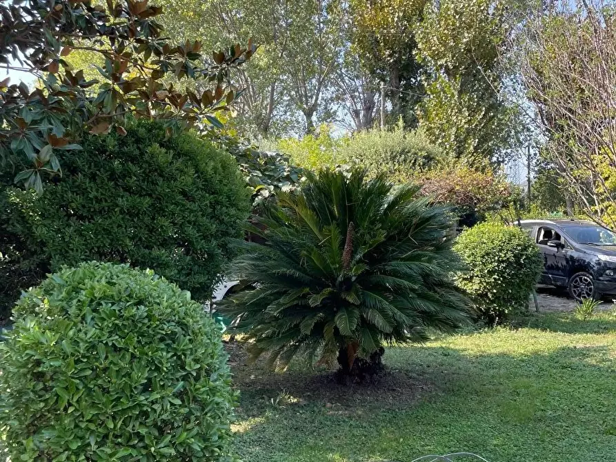 Immagine 31 di Rustico / casale in vendita  a San Giuliano Terme