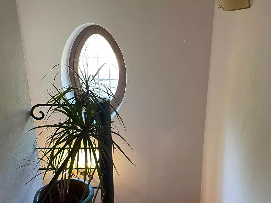 Immagine 27 di Rustico / casale in vendita  a San Giuliano Terme